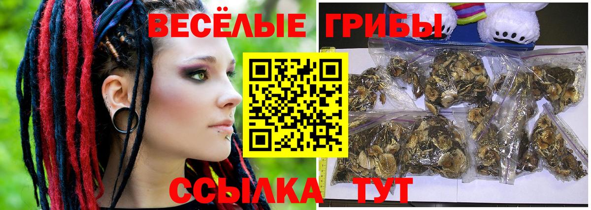 Псилоцибиновые грибы GOLDEN TEACHER  Псилоцибиновые грибы мухоморы  Вход с VPN  Реж 